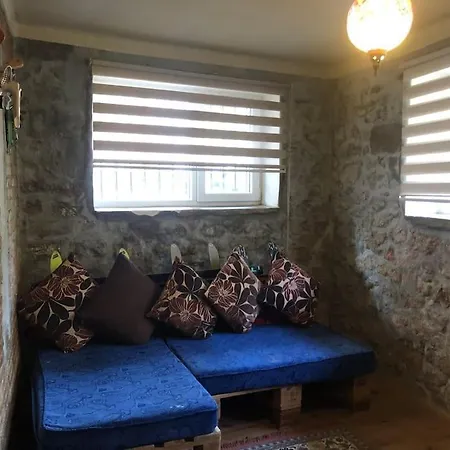 Apartment Ozzy Homes